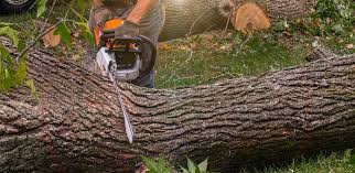 Best Lawn Grading and Leveling  in Brice Prairie, WI